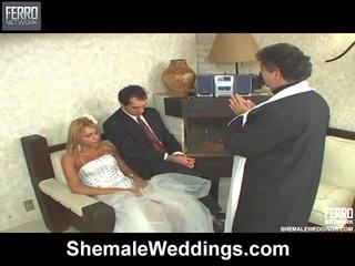 Awesome Shemale Weddings film With Amazing sex Stars Suzuki, Calena, Duda